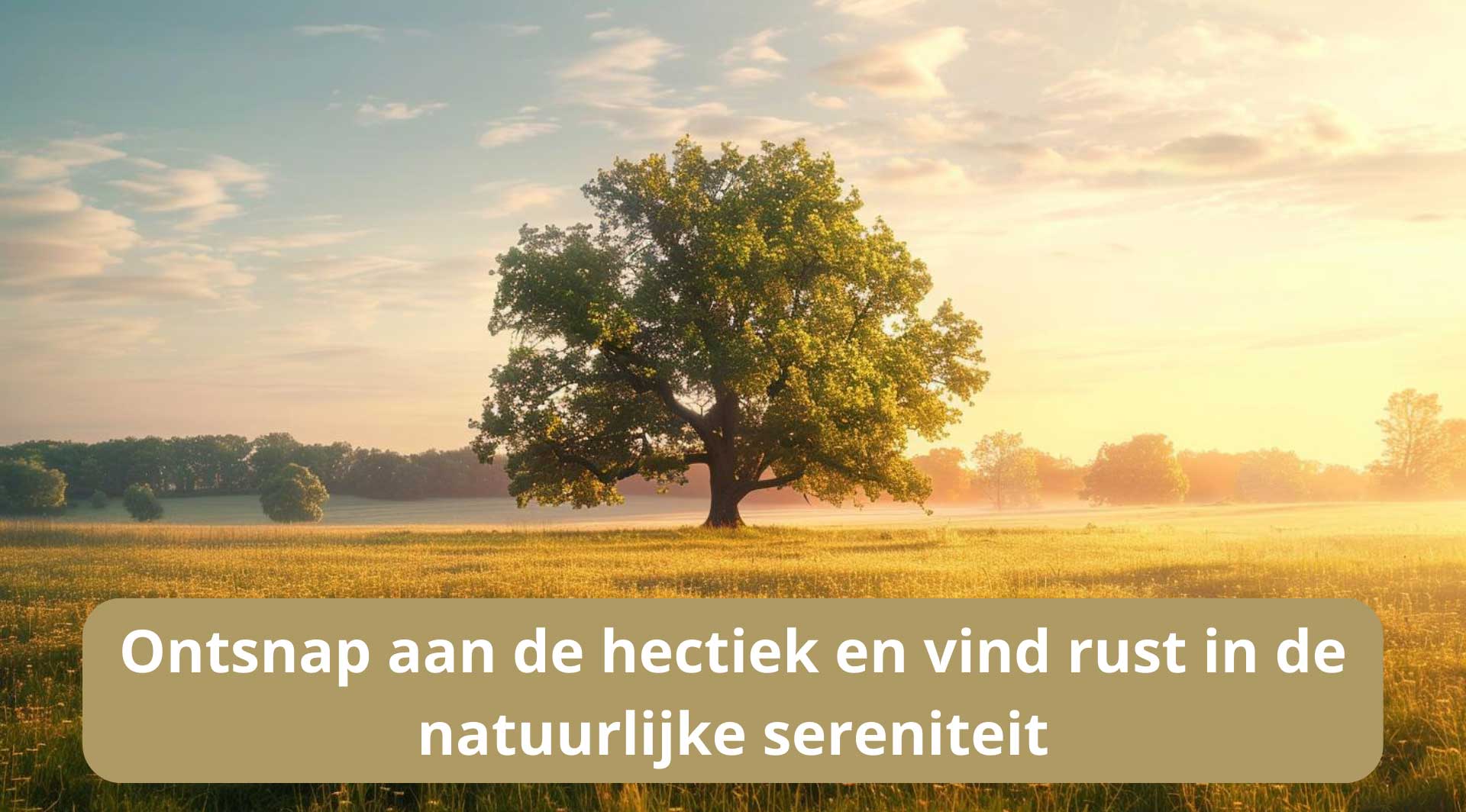 De rust in stressvolle periode.